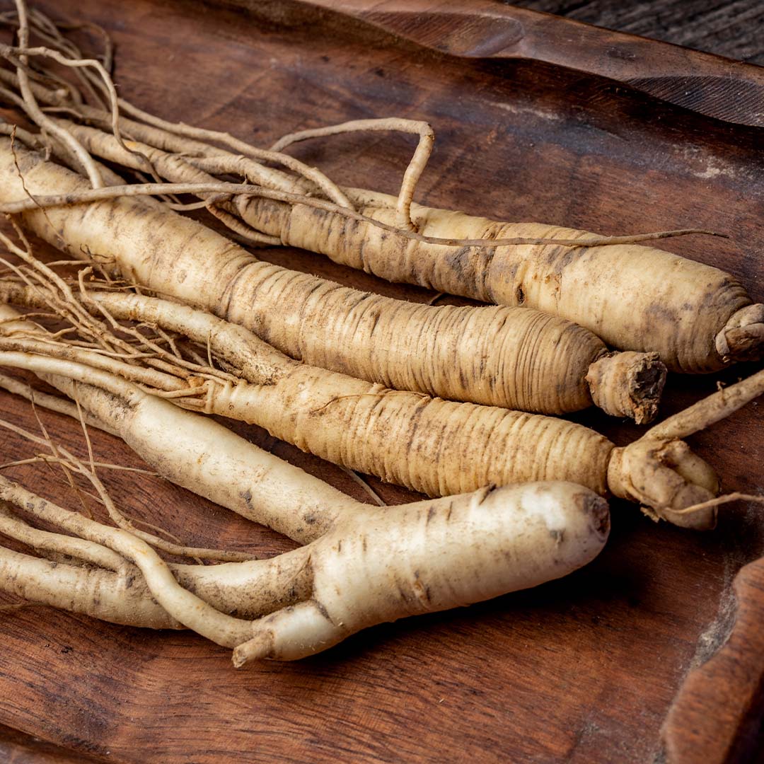 Panax_Ginseng