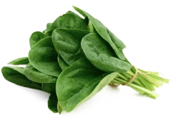 High‑quality image of R‑Alpha Lipoic Acid (R‑ALA), known for its antioxidant activity and support for nerve health.