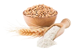High‑quality image of Benfotiamine, a bioavailable form of vitamin B1 supporting nerve wellness and metabolic balance.