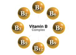 High‑quality image of Vitamin B‑Complex supporting energy, nerve wellness, and overall metabolic health.