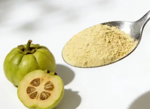 Garcinia extract ingredient featured in SodaSlim capsules