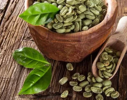 Green coffee bean extract ingredient in SodaSlim capsules